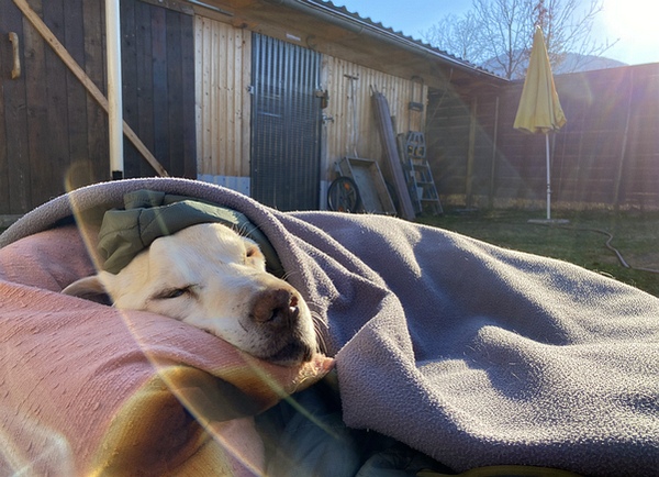 Im Garten bis es zu kalt wird.