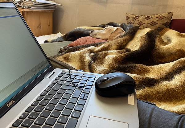 24 Stunden Pflege im Homeoffice.