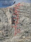 Topo Adler HöLe