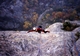 "Sylvie" 6b+: am Pilastro Lomasti<br>Aostatal, 31.10.2005
