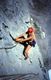"Opara Vertical" VIII an der Torsäule: Hochkönig am 15.6.2002