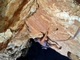 "Il Go" 6a an den Klippen des Cappo die Caccia: bei Alghero<br>Sardinien, September 2004